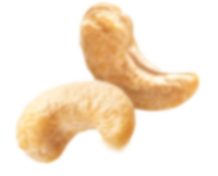 cashew-nut-2